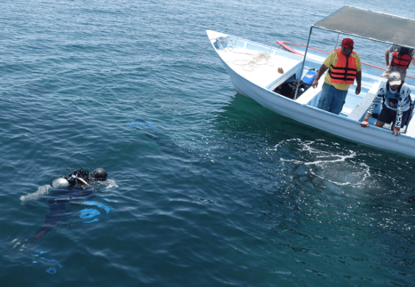 メキシコ現地調査